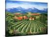 Tuscan Vineyard and Abbey-Marilyn Dunlap-Stretched Canvas