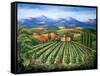 Tuscan Vineyard and Abbey-Marilyn Dunlap-Framed Stretched Canvas