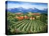 Tuscan Vineyard and Abbey-Marilyn Dunlap-Stretched Canvas