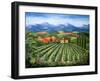 Tuscan Vineyard and Abbey-Marilyn Dunlap-Framed Art Print