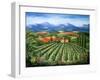 Tuscan Vineyard and Abbey-Marilyn Dunlap-Framed Art Print