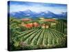 Tuscan Vineyard and Abbey-Marilyn Dunlap-Stretched Canvas