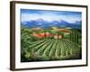 Tuscan Vineyard and Abbey-Marilyn Dunlap-Framed Art Print