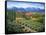 Tuscan Vineyard and Village-Marilyn Dunlap-Framed Stretched Canvas