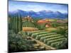 Tuscan Vineyard and Village-Marilyn Dunlap-Mounted Art Print