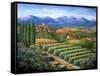 Tuscan Vineyard and Village-Marilyn Dunlap-Framed Stretched Canvas