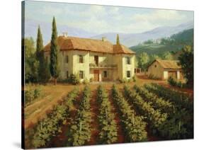 Tuscan Vineyard-Roger Williams-Stretched Canvas