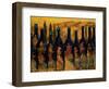 Tuscan Vinos-Jodi Monahan-Framed Art Print