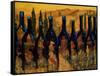 Tuscan Vinos-Jodi Monahan-Framed Stretched Canvas