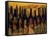 Tuscan Vinos-Jodi Monahan-Framed Stretched Canvas