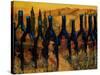 Tuscan Vinos-Jodi Monahan-Stretched Canvas