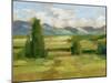 Tuscan Vista I-Ethan Harper-Mounted Art Print