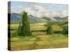 Tuscan Vista I-Ethan Harper-Stretched Canvas