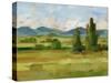 Tuscan Vista II-Ethan Harper-Stretched Canvas