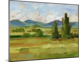 Tuscan Vista II-Ethan Harper-Mounted Art Print