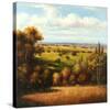 Tuscan Vista-Arcobaleno-Stretched Canvas