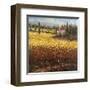 Tuscan Wheat-Hulsey-Framed Art Print