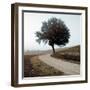 Tuscany #12-Alan Blaustein-Framed Photographic Print