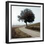 Tuscany #12-Alan Blaustein-Framed Photographic Print