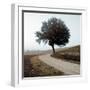 Tuscany #12-Alan Blaustein-Framed Photographic Print