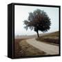 Tuscany #12-Alan Blaustein-Framed Stretched Canvas