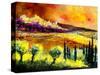 Tuscany 1-Pol Ledent-Stretched Canvas