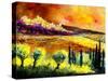 Tuscany 1-Pol Ledent-Stretched Canvas