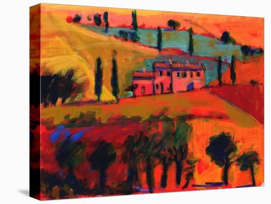 Tuscany, 2008-Paul Powis-Stretched Canvas