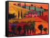 Tuscany, 2008-Paul Powis-Framed Stretched Canvas