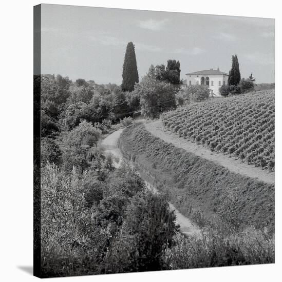 Tuscany #5-Alan Blaustein-Stretched Canvas