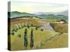 Tuscany Afternoon I-Kris Taylor-Stretched Canvas