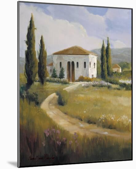 Tuscany Afternoon-Hawley-Mounted Giclee Print