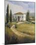 Tuscany Afternoon-Carolyne Hawley-Mounted Art Print