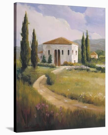 Tuscany Afternoon-Carolyne Hawley-Stretched Canvas
