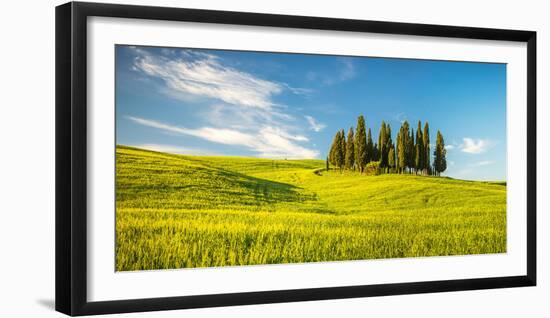 Tuscany at Spring-Sergey Borisov-Framed Photographic Print