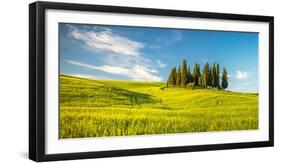 Tuscany at Spring-Sergey Borisov-Framed Photographic Print