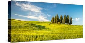 Tuscany at Spring-Sergey Borisov-Stretched Canvas