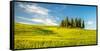 Tuscany at Spring-Sergey Borisov-Framed Stretched Canvas