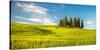 Tuscany at Spring-Sergey Borisov-Stretched Canvas