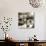Tuscany Caffe III-Alan Blaustein-Photographic Print displayed on a wall
