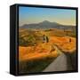 Tuscany, Cypress Road-Jaroslaw Pawlak-Framed Stretched Canvas