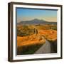 Tuscany, Cypress Road-Jaroslaw Pawlak-Framed Photographic Print