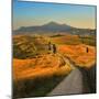 Tuscany, Cypress Road-Jaroslaw Pawlak-Mounted Photographic Print