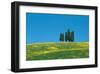 Tuscany Cypress Trees Spring-null-Framed Art Print