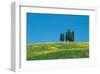 Tuscany Cypress Trees Spring-null-Framed Art Print