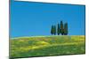 Tuscany Cypress Trees Spring-null-Mounted Art Print
