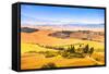 Tuscany, Farmland and Cypress Trees, Green Fields. San Quirico Orcia, Italy.-stevanzz-Framed Stretched Canvas