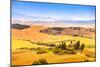 Tuscany, Farmland and Cypress Trees, Green Fields. San Quirico Orcia, Italy.-stevanzz-Mounted Premium Photographic Print