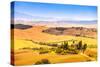 Tuscany, Farmland and Cypress Trees, Green Fields. San Quirico Orcia, Italy.-stevanzz-Stretched Canvas