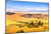 Tuscany, Farmland and Cypress Trees, Green Fields. San Quirico Orcia, Italy.-stevanzz-Mounted Photographic Print